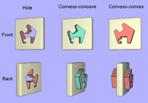 frontside and backside