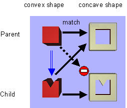 convex and concave